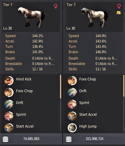 bdo horse guide